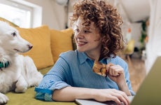 Best credit cards for pet owners