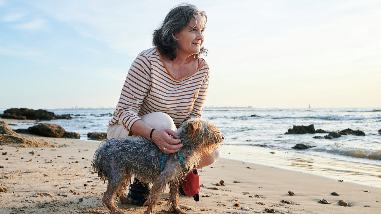 Woman with yorkshire dog on the beach at sunset