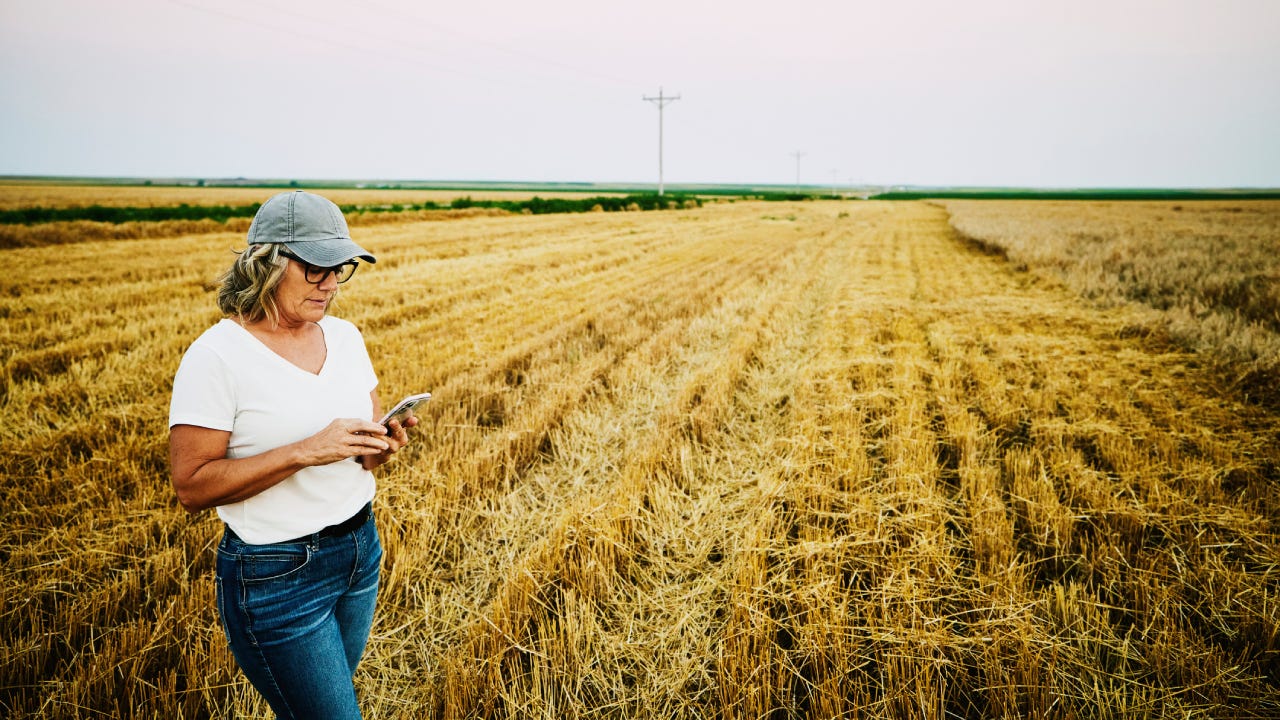 farmer using smart phone while standing in freshly cut wheat field on summer evening