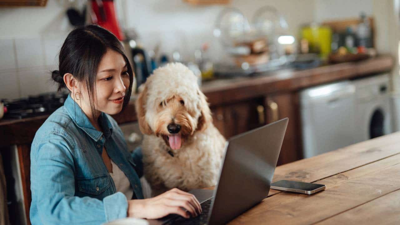 Young Asian woman using laptop next to her dog, sitting at dining table at home.