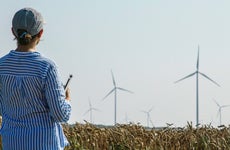 Farmer woman examining wheat field with wind generators behind
