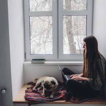 Woman with long hair sitting on window sill using laptop and sleeping pug, looking at snow from the window