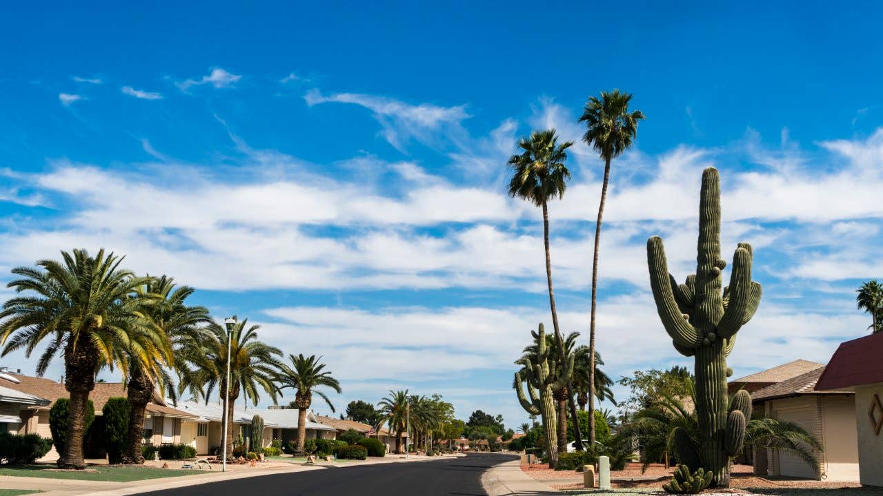 Sun City NW of Phoenix Arizona. A community dedicated to a more leisurely lifestyle and unending choices of recreation for the retired, active adult. A community of pristine streets and well maintained gardens.