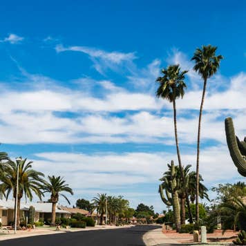 Sun City NW of Phoenix Arizona. A community dedicated to a more leisurely lifestyle and unending choices of recreation for the retired, active adult. A community of pristine streets and well maintained gardens.