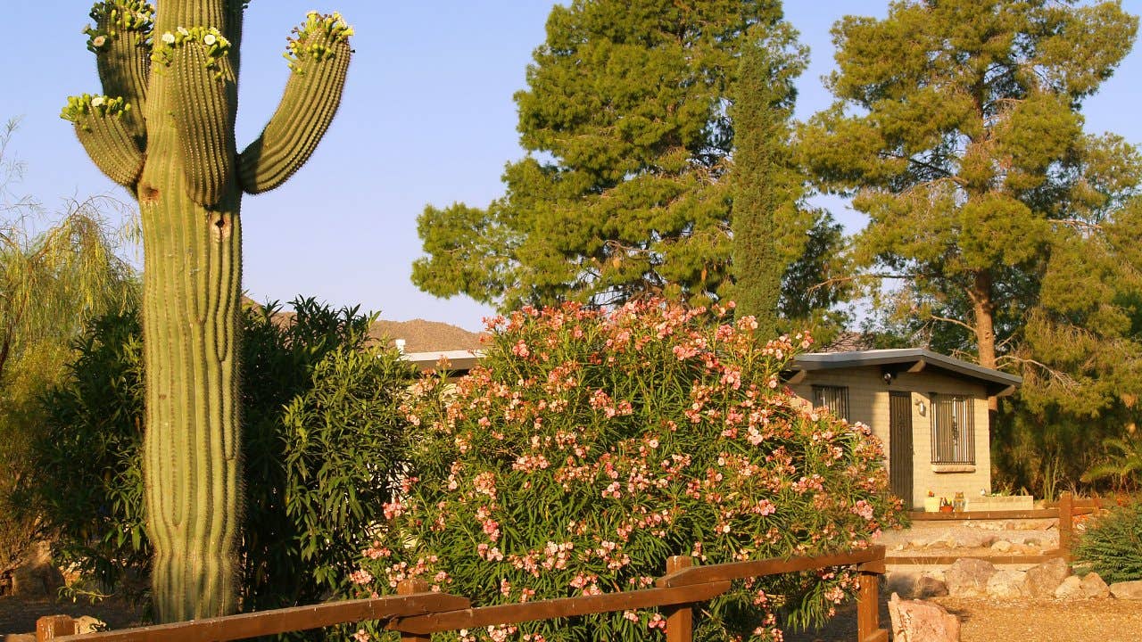 Choosing a fence for your Tucson yard