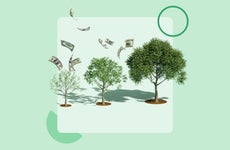 illustration of money growing on trees