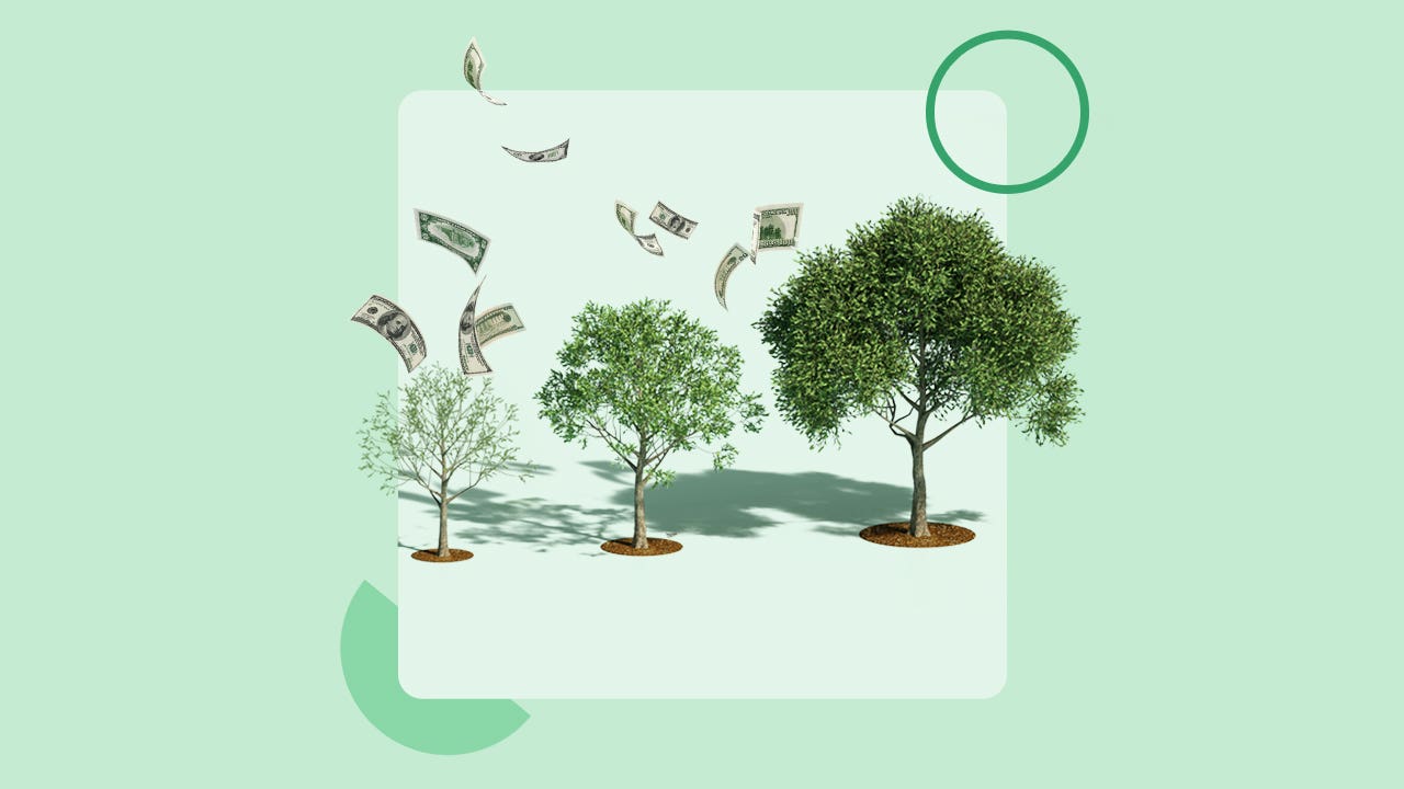 illustration of money growing on trees