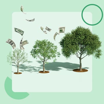 illustration of money growing on trees
