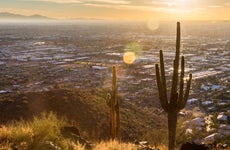 Cactus in the desert environment of Piestawa Peak hiking zone in Phoenix Arizona
