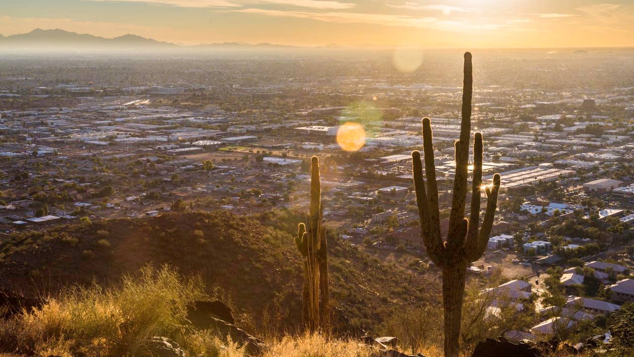 Cactus in the desert environment of Piestawa Peak hiking zone in Phoenix Arizona