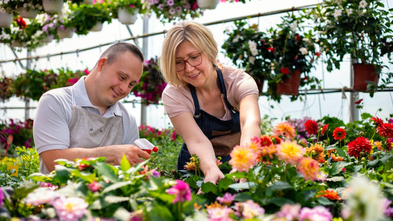 A florist works with her assistant in the nursery.