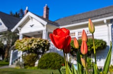 housing market predictions - spring 2023 - white house with blooming tulips in front yard