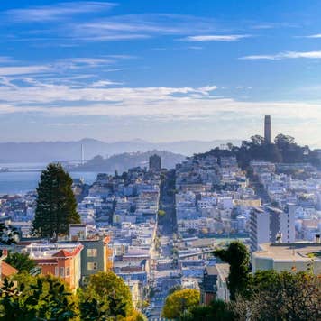 San Francisco - USA. Panoramic view of San Francisco with Coit Tower in the background on a clear winter day, seen from Lombard Street.