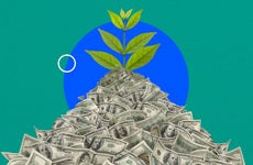 Illustration of a plant growing out of a pile of cash