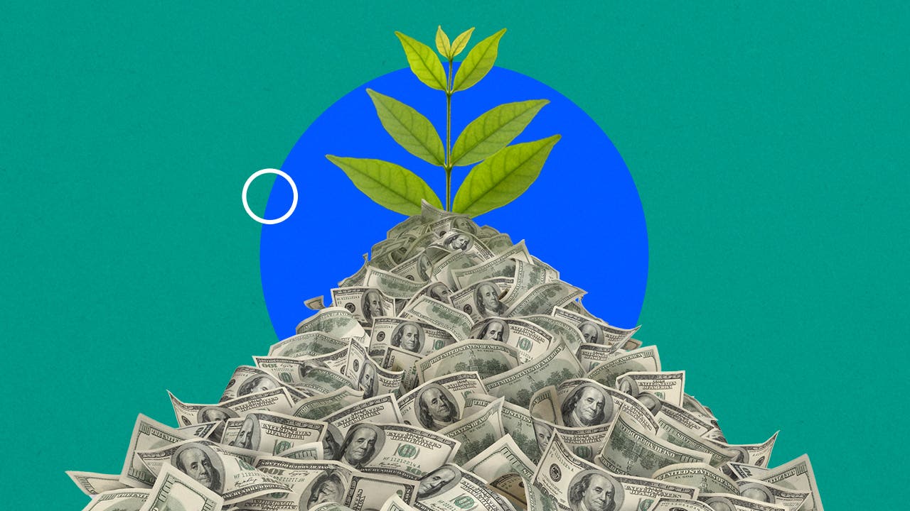 Illustration of a Plant Growing from a Pile of Cash