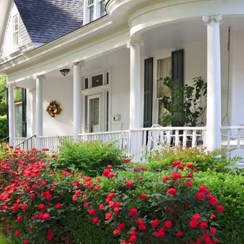 Southern Alabama home with beautiful porch and lovely red roses.