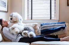Woman laying on couch petting, looking lovingly and smiling at her large fluffy Old English Sheepdog that sits comfortably on her