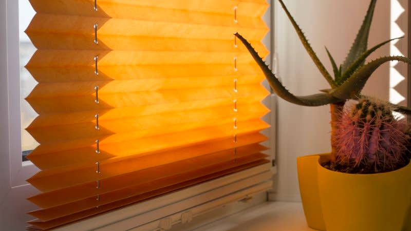 Cellular/honeycomb blinds, a style of blinds