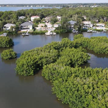 An aerial of mangroves environmental drone view