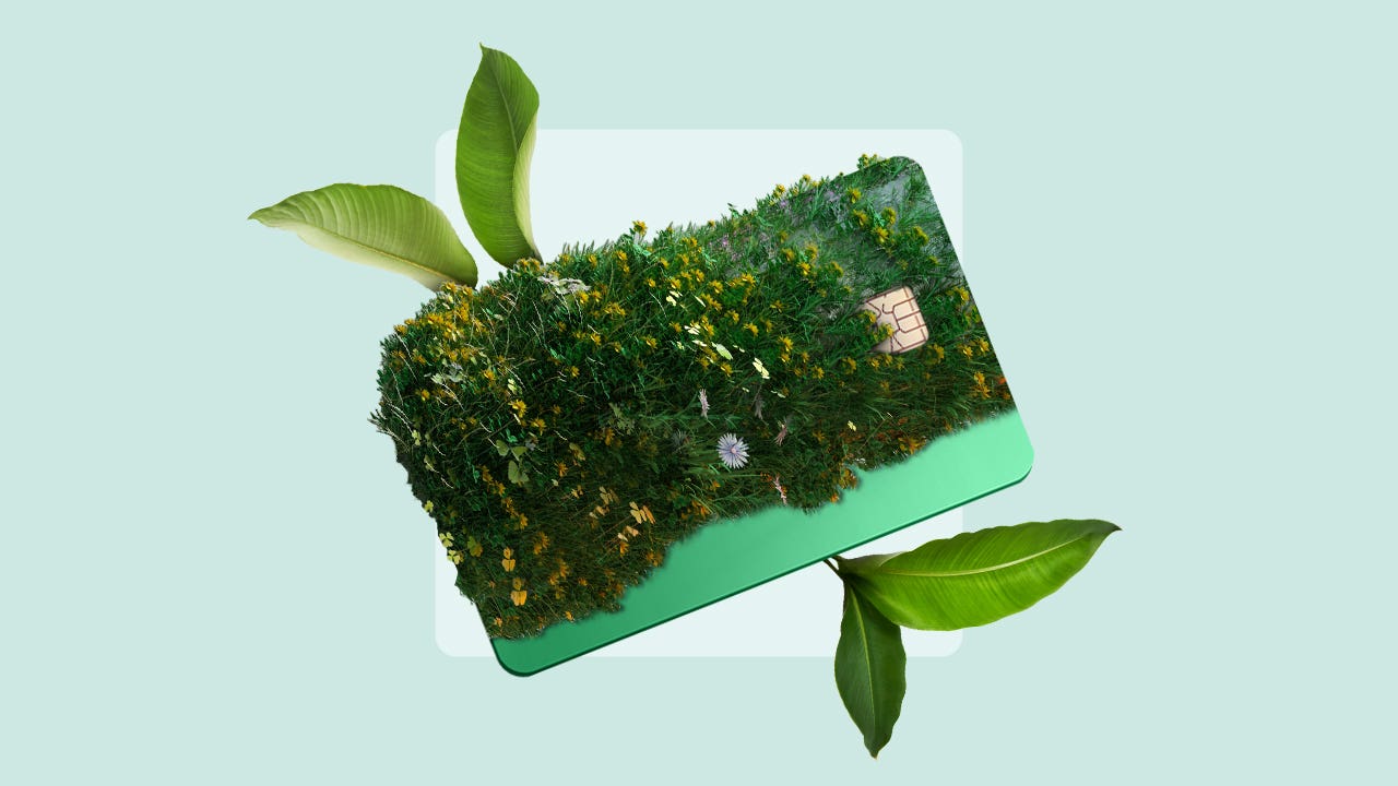 design element including a credit card with leaves blooming from it