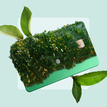 design element including a credit card with leaves blooming from it