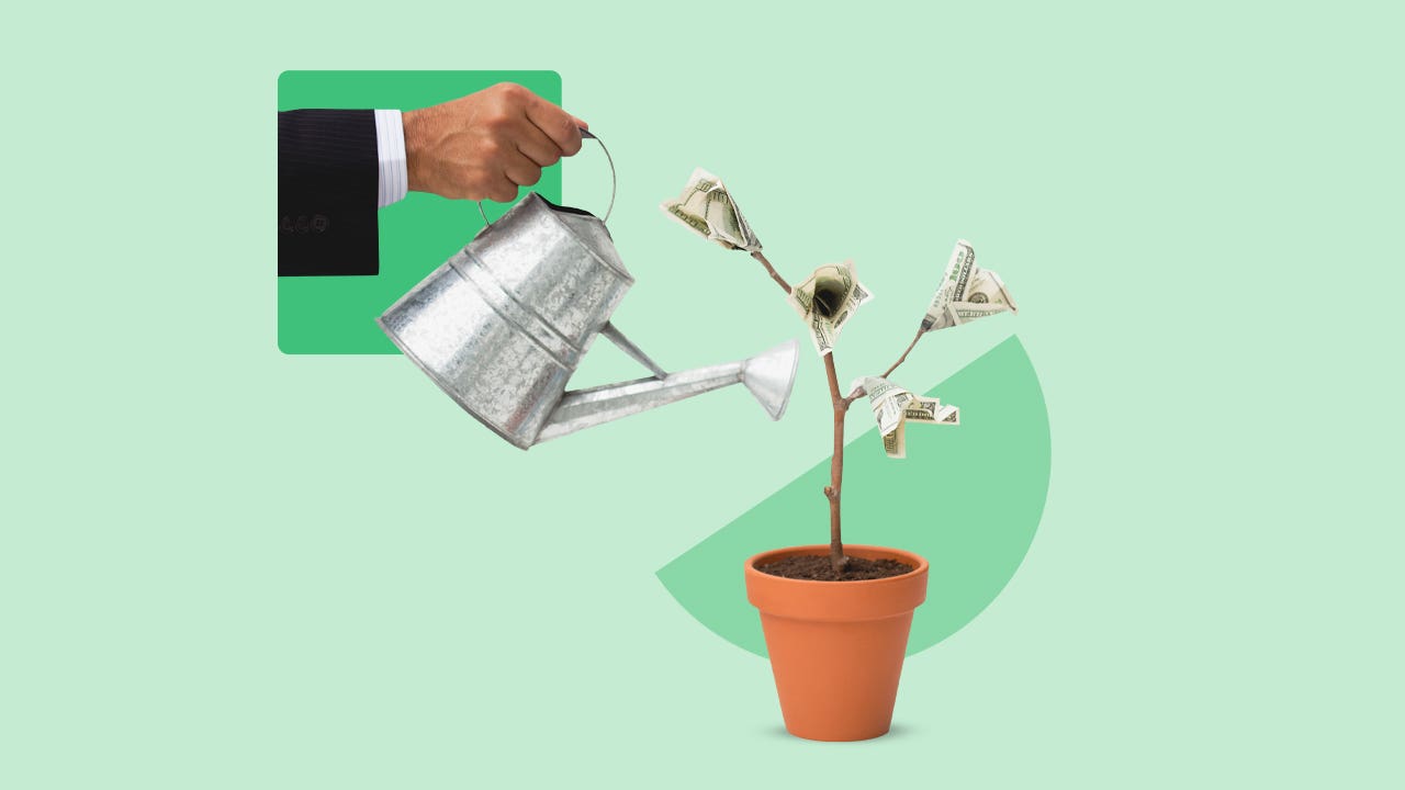 Someone watering a plant that grows cash
