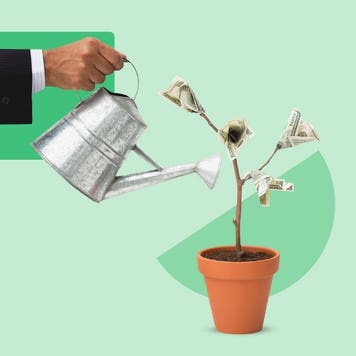 Someone watering a plant that grows cash