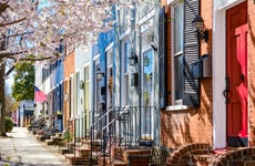 Row of Townhouses in Alexandria, Virginia , with cherry blossoms