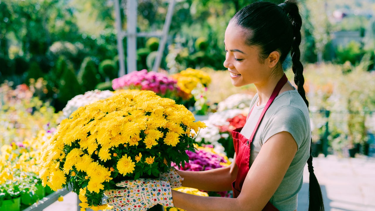 A young, smiling entrepreneur is outdoors at her garden center, holding a container full of potted flowers.