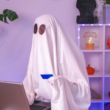 Ghost of Halloween uses a laptop to surf the Internet