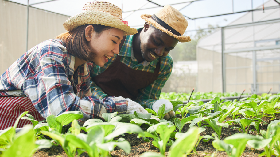 Farm Grants Bankrate