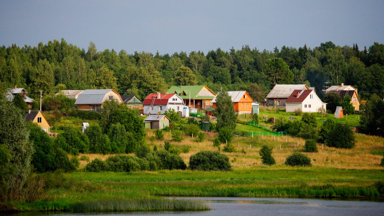 Houses surrounded by greenery