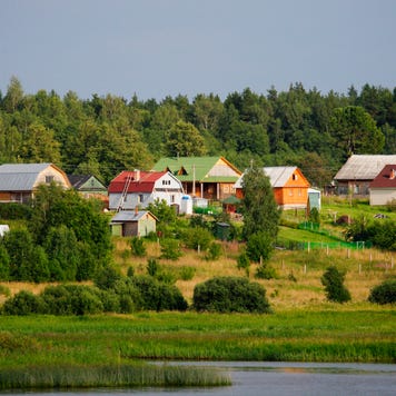 Houses surrounded by greenery
