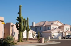 hoenix Arizona Cul-de-sac with Saguaro Cacti