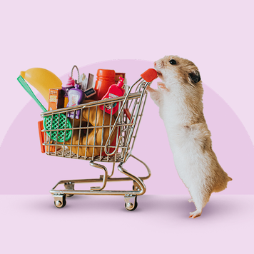 Hamster pushes shopping cart full of items that might be subject to a consumption tax.