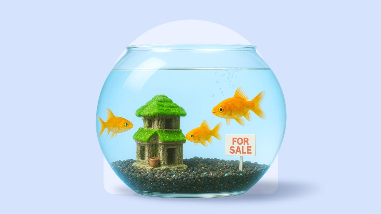 photo illustration: house for sale inside a fishbowl with goldfish swimming around