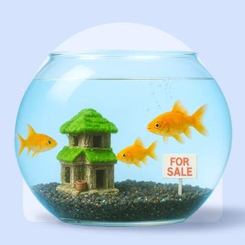 photo illustration: house for sale inside a fishbowl with goldfish swimming around