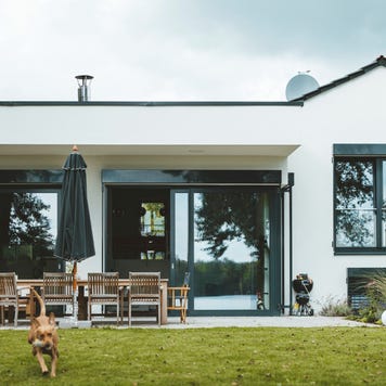 backyard of house with dog running