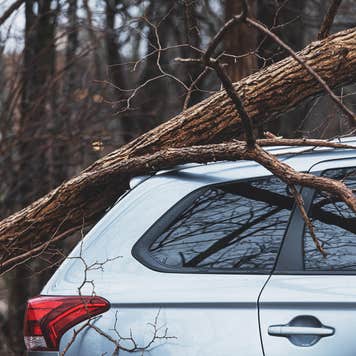 Silver car with tree branch damage