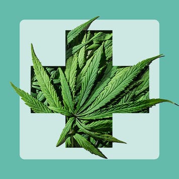 marijuana plant within a cross indicating medical marijuana