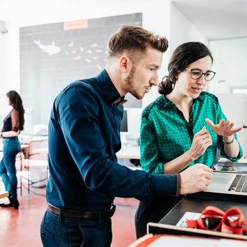 A group of startup business employees working together in a modern office environment.
