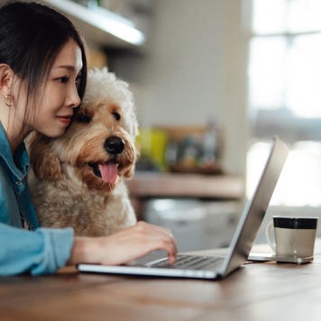 Young Asian woman using laptop next to her dog, sitting at dining table at home. Work life balance. Living with a pet. Online shopping at home.