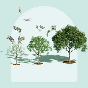 illustration of money growing on trees