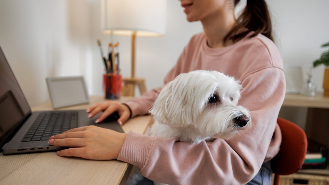 Woman using a laptop with a dog in her lap