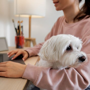 Woman using a laptop with a dog in her lap