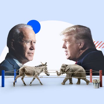 Trump and Biden, donkey and elephant, in a boxing ring