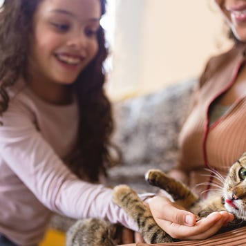 Mom and daughter playing with their cat