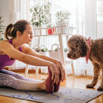 Dog wants to play with owner while she exercising