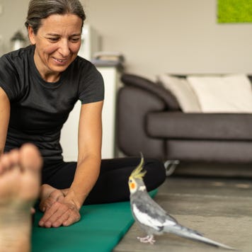 Exercising woman at home smiling at her cockatiel