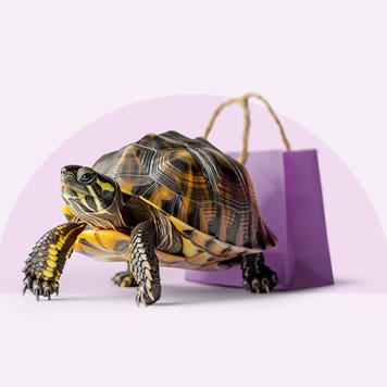 Turtle with shopping bag